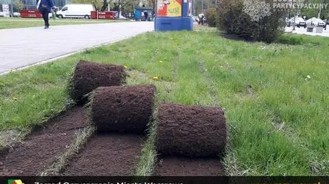 Łąka kwietna na Marszałkowskiej. "Kolorowe efekty latem"