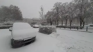 Intensywne opady śniegu w sobotni poranek w stolicy