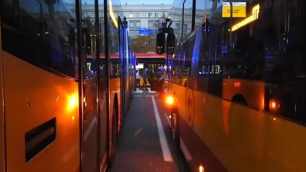 pl konstytucji