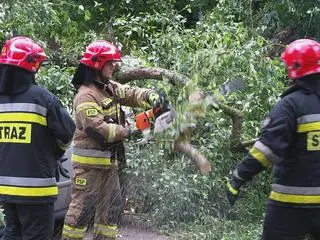 Drzewo spadło na ogrodzenie przedszkola i zaparkowany samochód