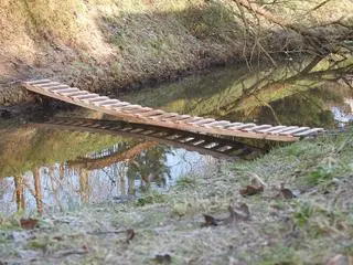 Najkrótsza droga do szkoły wiedzie po drabinie