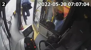 Kierowca autobusu ratował sarnę leżącą przy drodze