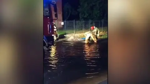 Kierowca uderzył w hydrant