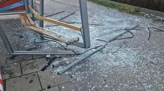 Kierująca wjechała w przystanek