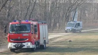 Znów pożar traw przy moście Świętokrzyskim