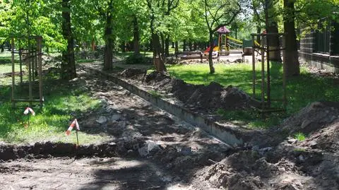 Więcej zieleni, ławek i metamorfoza młyna. Park Michałowski się zmienia 