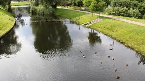 Park przy PKiN, Park Olszyna, Kępa Potocka. Roszczenia także do terenów zielonych