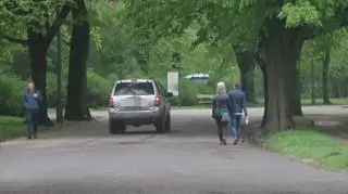 Samochód wjeżdża do parku
