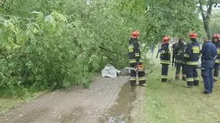 Drzewo spadło na kobietę z wózkiem dziecięcym