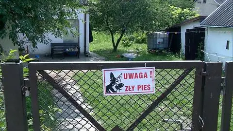 Amstaff pogryzł dwójkę dzieci. Ojciec stanie przed sądem