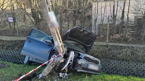 Uderzył w betonowy słup i wpadł do rowu