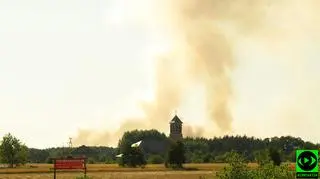 Pożar łąk i lasów pod Legionowem