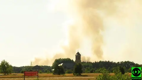 Pożar około 20 hektarów łąk i lasów. Samolot gaśniczy w akcji