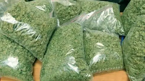 Znaleźli u niego blisko 15 kilogramów narkotyków. "Tłumaczył, że posiadał je na własny użytek"