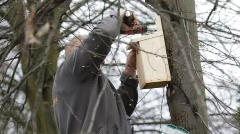 Montują budki dla ptaków, stawiają ule dla pszczół i wysiewają kwietne łąki