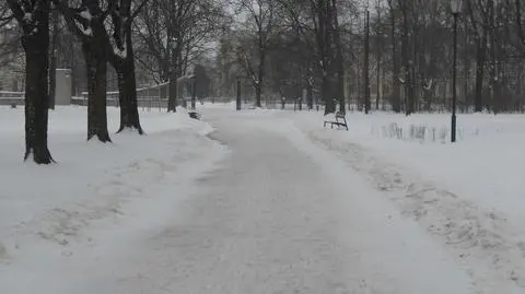 Chcą powstańczej alei w Ogrodzie Krasińskich