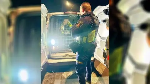 Zdezorientowany 65-latek "jeździł autobusem bez celu". Kierowca wezwał strażników miejskich