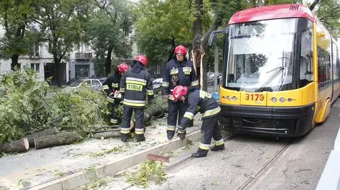 Drzewo "oparło się" o trakcję tramwajową