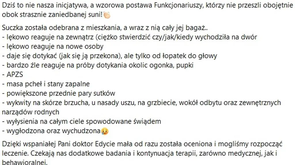Suczką zajmuje się teraz Fundacja Life Code