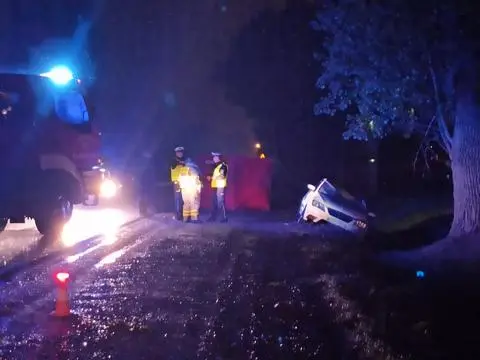 Drzewo runęło na drogę, którą poruszał się osobowy seat