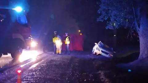 Drzewo runęło na drogę, którą poruszał się osobowy seat