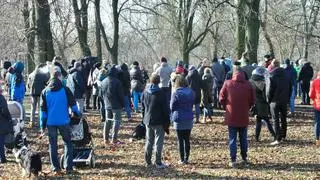 Protest przeciwko wycince drzew w Parku Powstańców Warszawy