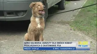 Zarzuty dla dwóch kobiet