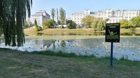 Śmierć w Parku Skaryszewskim "bez udziału osób trzecich"