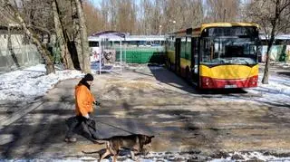 Autobus dla zwierząt ze schroniska