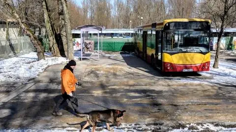 Zwierzaki z "Palucha" dostały autobus. Do oswajania z komunikacją