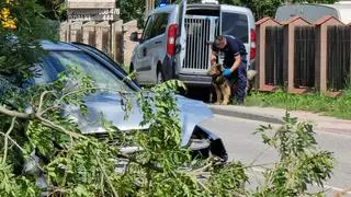 Na miejscu wypadku pracują policjanci z psem tropiącym