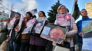 Protest stowarzyszenia "Owocowe Sady Żoliborskie"