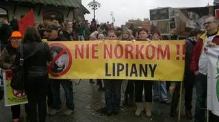 Protestujący z transparentami