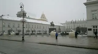 Odrestaurowane lwy pojawiły się przed Pałacem Prezydenckim