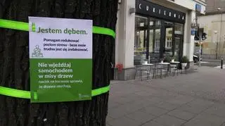 Informacyjna plansza na drzewie