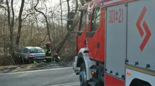 Zjechał z drogi, wpadł do lasu