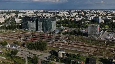 Zielone światło do wycinki ponad trzech tysięcy drzew