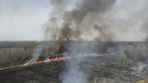 Pożar trawy nad Wisłą. Akcję gaśniczą utrudniał silny wiatr