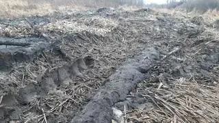 Prace toczyły się na terenie rezerwatu Wieliszewskie Łęgi