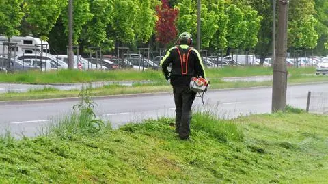 Rusza koszenie miejskich trawników. To druga akcja w tym roku