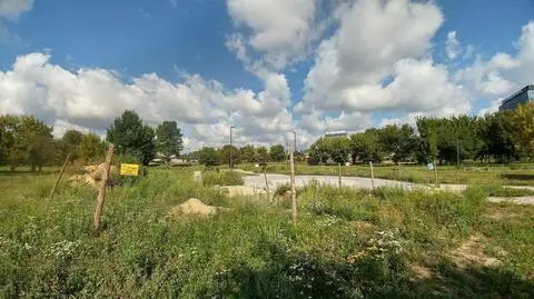 Park Zachodni znów opóźniony. Nie ma chętnych wykonawców