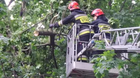 Wciąż usuwają skutki poniedziałkowej wichury. Pompują wodę, sprzątają konary