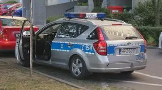 Audi na drzewie