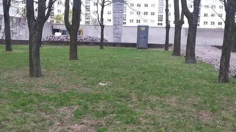 Przenośne WC stanęło w Lesie Pamięci
