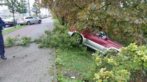 Samochód wypadł z drogi. "Zatrzymał się na drzewie"