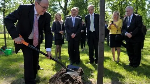 Drzewka pamięci za ratowanie Żydów