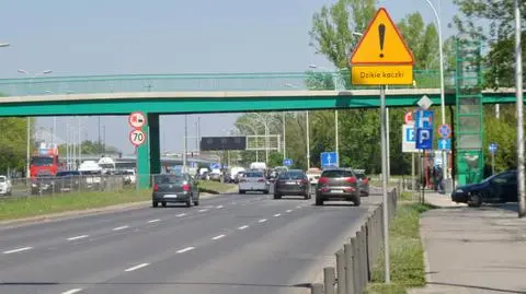 Dzikie kaczki na Wisłostradzie. Drogowcy ustawili znaki 
