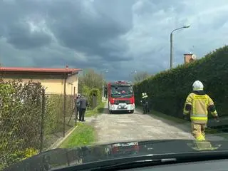 Części samolotu spadły na prywatną posesję 