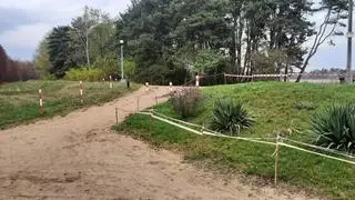 Zabezpieczenia w lesie w okolicach Wieliszewa