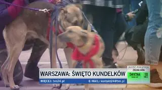 Kundelki przeszły ulicami Starego Miasta